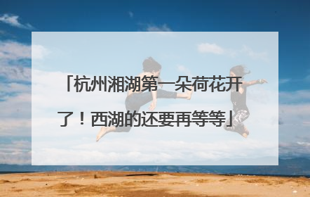 杭州湘湖第一朵荷花开了！西湖的还要再等等