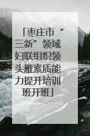 枣庄市“三新”领域妇联组织领头雁素质能力提升培训班开班