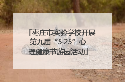 枣庄市实验学校开展第九届“5·25”心理健康节游园活动