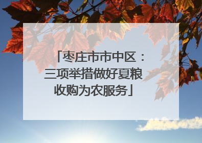 枣庄市市中区：三项举措做好夏粮收购为农服务