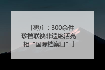 枣庄：300余件珍档联袂非遗绝活亮相“国际档案日”