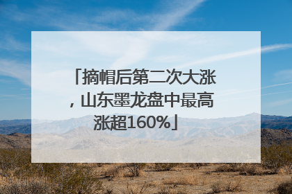 摘帽后第二次大涨，山东墨龙盘中最高涨超160%