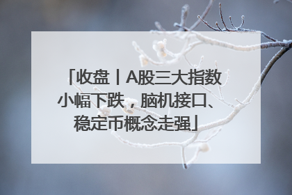 收盘丨A股三大指数小幅下跌，脑机接口、稳定币概念走强