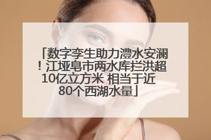 数字孪生助力澧水安澜！江垭皂市两水库拦洪超10亿立方米 相当于近80个西湖水量