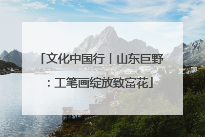 文化中国行丨山东巨野：工笔画绽放致富花