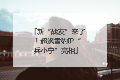 新“战友”来了！超飒雪豹IP“兵小宁”亮相