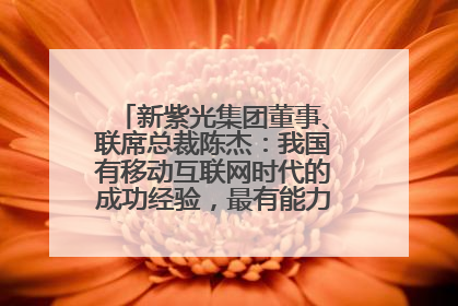 新紫光集团董事、联席总裁陈杰：我国有移动互联网时代的成功经验，最有能力做好AI应用创新