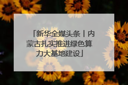 新华全媒头条丨内蒙古扎实推进绿色算力大基地建设