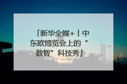 新华全媒+丨中东欧博览会上的“数智”科技秀