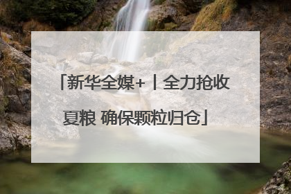 新华全媒+丨全力抢收夏粮 确保颗粒归仓
