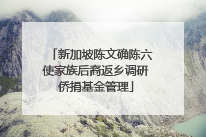 新加坡陈文确陈六使家族后裔返乡调研侨捐基金管理