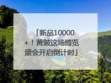 新品10000+！黄陂这场博览盛会开启倒计时