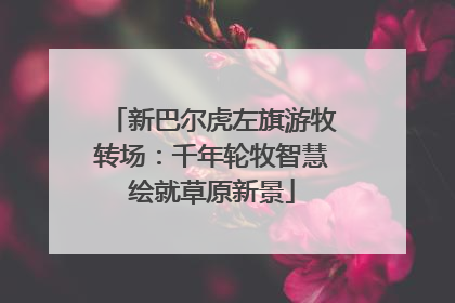 新巴尔虎左旗游牧转场：千年轮牧智慧绘就草原新景