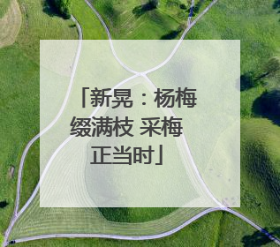 新晃：杨梅缀满枝 采梅正当时