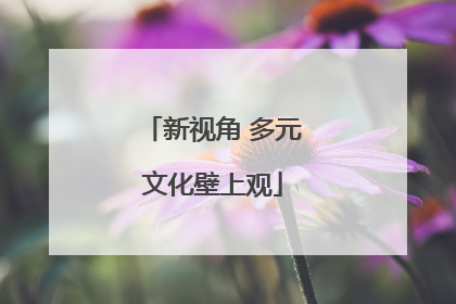 新视角 多元文化壁上观