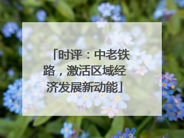 时评：中老铁路，激活区域经济发展新动能