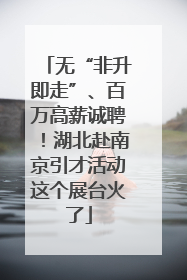 无“非升即走”、百万高薪诚聘！湖北赴南京引才活动这个展台火了