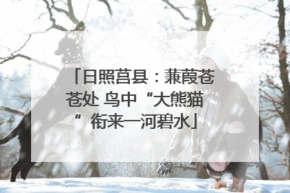 日照莒县：蒹葭苍苍处 鸟中“大熊猫”衔来一河碧水