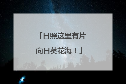 日照这里有片向日葵花海！