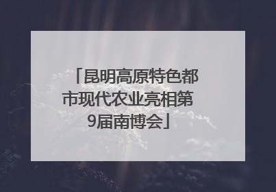 昆明高原特色都市现代农业亮相第9届南博会