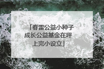 春雷公益小种子成长公益基金在坪上完小设立