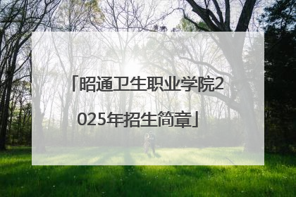 昭通卫生职业学院2025年招生简章