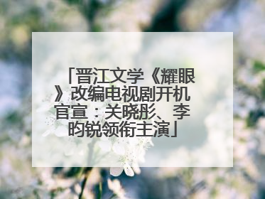 晋江文学《耀眼》改编电视剧开机官宣：关晓彤、李昀锐领衔主演
