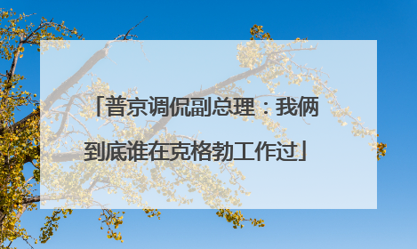 普京调侃副总理：我俩到底谁在克格勃工作过
