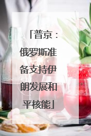 普京：俄罗斯准备支持伊朗发展和平核能