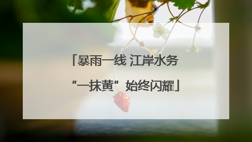 暴雨一线 江岸水务“一抹黄”始终闪耀