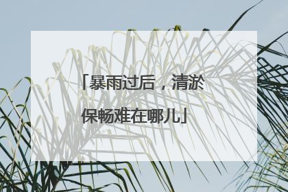 暴雨过后，清淤保畅难在哪儿