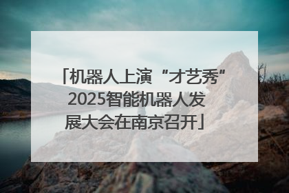 机器人上演“才艺秀” 2025智能机器人发展大会在南京召开