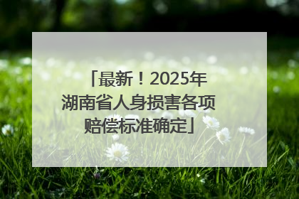 最新！2025年湖南省人身损害各项赔偿标准确定