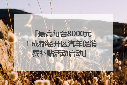 最高每台8000元！成都经开区汽车促消费补贴活动启动