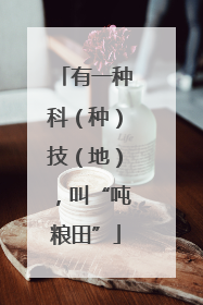 有一种科（种）技（地），叫“吨粮田”