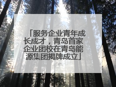 服务企业青年成长成才，青岛首家企业团校在青岛能源集团揭牌成立