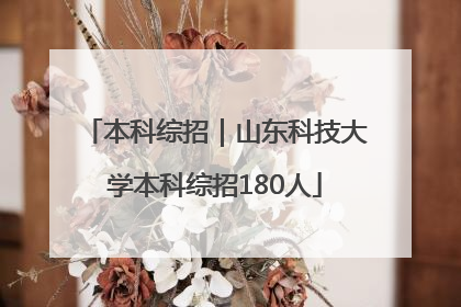 本科综招｜山东科技大学本科综招180人