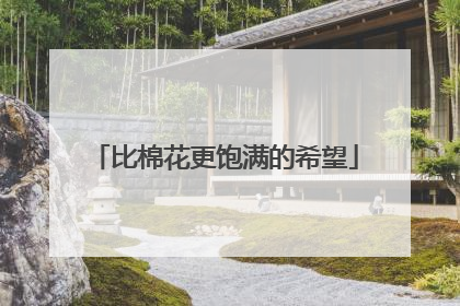 比棉花更饱满的希望