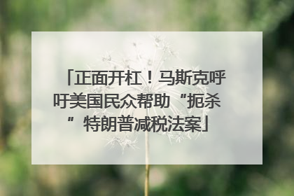 正面开杠！马斯克呼吁美国民众帮助“扼杀”特朗普减税法案