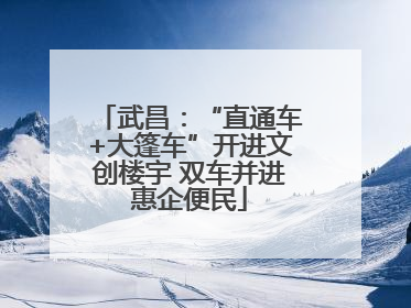 武昌：“直通车+大篷车”开进文创楼宇 双车并进惠企便民