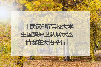 武汉6所高校大学生国旗护卫队展示邀请赛在大悟举行