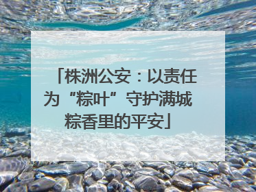 株洲公安：以责任为“粽叶”守护满城粽香里的平安