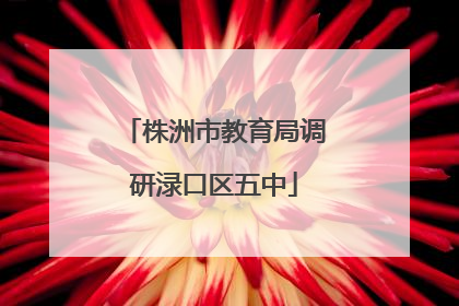 株洲市教育局调研渌口区五中