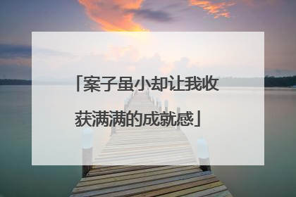 案子虽小却让我收获满满的成就感