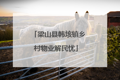 梁山县韩垓镇乡村物业解民忧