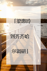 梁惠玲到齐齐哈尔调研