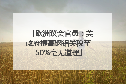 欧洲议会官员：美政府提高钢铝关税至50%毫无道理
