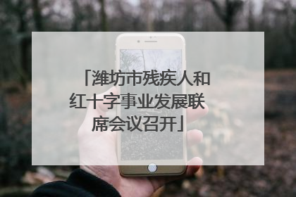 潍坊市残疾人和红十字事业发展联席会议召开