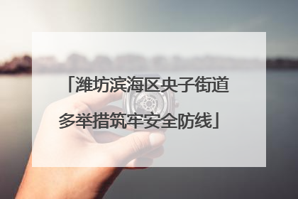 潍坊滨海区央子街道多举措筑牢安全防线