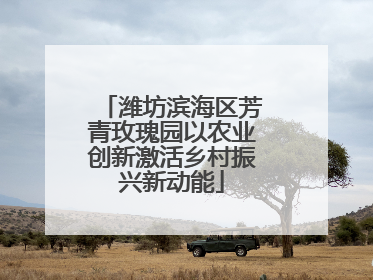 潍坊滨海区芳青玫瑰园以农业创新激活乡村振兴新动能